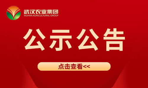 中共环球体育app下载（中国）有限公司官网委员会关于十四届市委第一轮巡察集中整改进展情况的通报